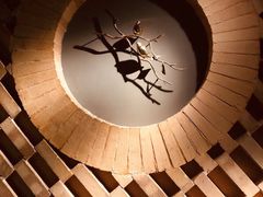 -Dragonfly悠庭·按摩Spa(新乐路店)