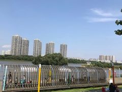 -长白岛森林公园