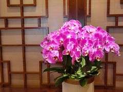 -扬州香格里拉·香宫中餐厅
