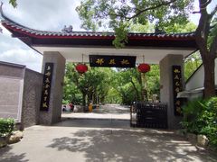 -南汇桃花村
