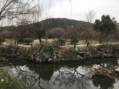 -香雪海