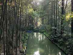 -同里国家湿地公园
