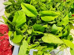 -海底捞大排档火锅(悦荟广场店)