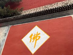 -五台山风景名胜区-罗睺寺