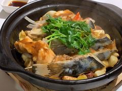 鲜香葱蒜鱼头煲-蚝歌(中山七路店)