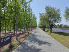 -汉长安城未央宫国家考古遗址公园