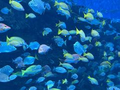 -海合安成都极地海洋公园