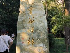-灵谷景区