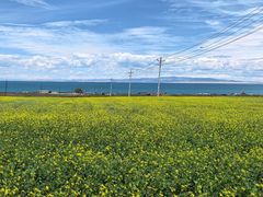 -青海湖仙女湾景区
