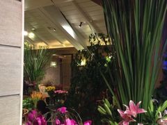 iphone_upload_pic-春暖花开(西溪店)