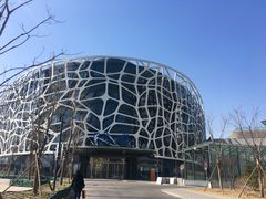 -首都医科大学附属北京天坛医院