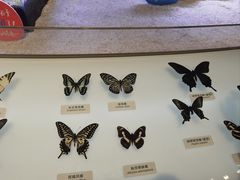 -中国湿地博物馆