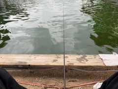 -DGE季风钓虾营地·团建·聚会