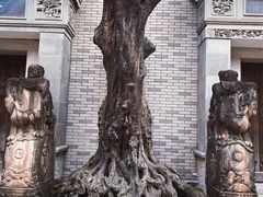 -龙潭水乡
