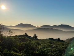 -维乐口腔医院(星海湾分院)