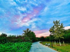 -永定河休闲森林公园