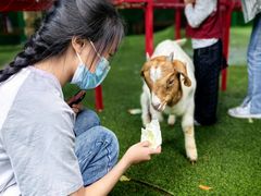 -台州海洋世界
