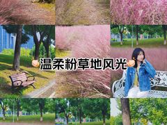 -南京奥林匹克体育中心