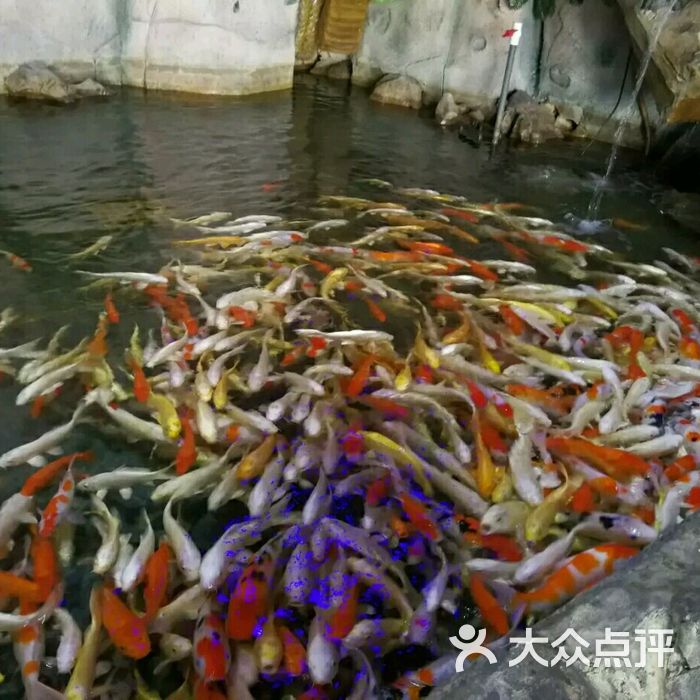 湖州海洋馆图片