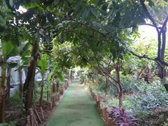 -呀路古热带植物园