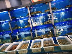 水产区-桔子海鲜烧烤大排档(金沙滩店)