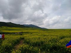-扁都口生态休闲旅游区