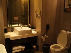 -常州环球恐龙城维景国际大酒店