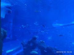 -成都浩海立方海洋公园