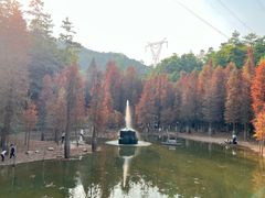 -广州市帽峰山景区