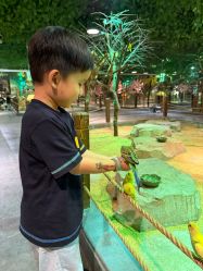 -酷嗒动物文化乐园(cutezoo西溪乐天城店)