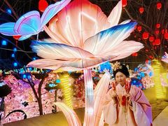 -淄博花灯齐彩城