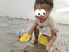 -奉贤海滩