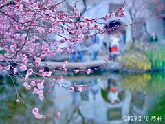 -艺圃