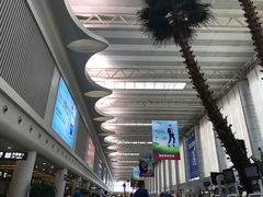 -温州龙湾国际机场