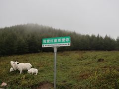 -红崖峡谷景区