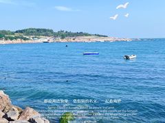 -小麦岛公园