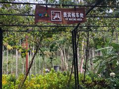 -呀诺达热带雨林