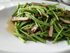 -丁老爷子苏香圆