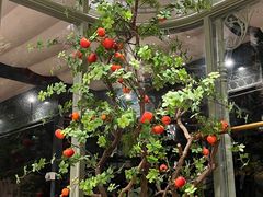-玛格萝妮比萨屋(四平店)
