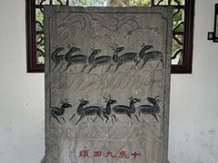 -上海醉白池公园