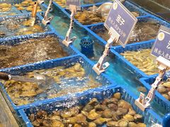 海鲜-御品海宴海鲜自助餐厅(龙岗万科广场店)