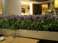 -必胜客(北苑路店)