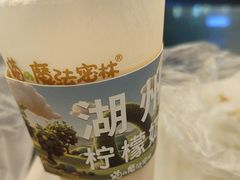 -猫的魔法密林(衣裳街店)
