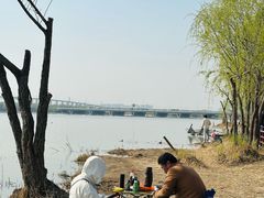 -绿堤公园
