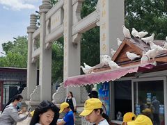 -天津妈祖文化园