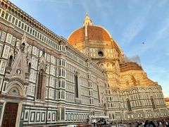 -圣母百花大教堂穹顶