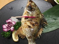 日本黄鳍鲷-昱匠·日本料理(金融街店)