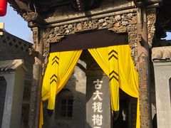 -大槐树寻根祭祖园