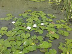 -前关湿地公园