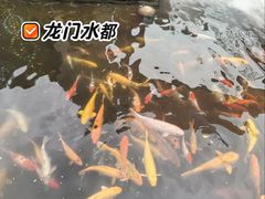 -龙门水都景区